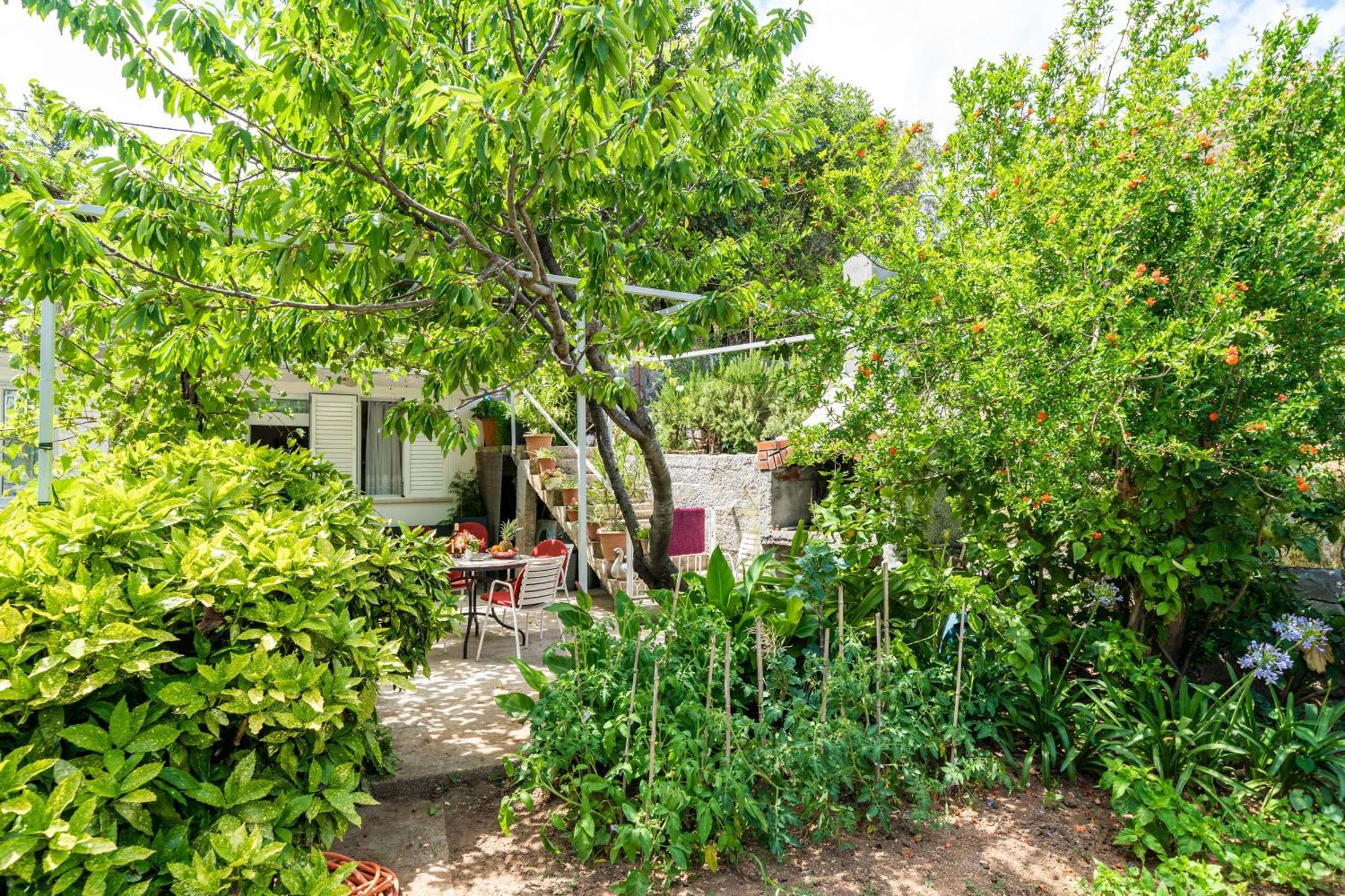 Apartments Zarac Ντουμπρόβνικ Δωμάτιο φωτογραφία